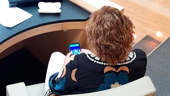 Milena-Rosso-la-legisladora-del-PJ-que-jugo-con-el-celular-en-plena-sesión.