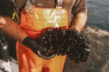 Roi Lojo, al frente de