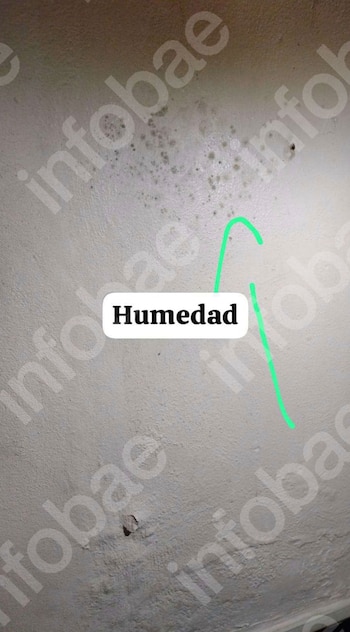 Denunció a los vecinos de al lado por hostigamiento, pero la Justicia rechazó la demanda y deberá pagar las costas del juicio