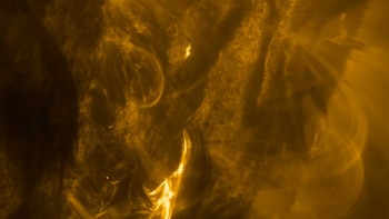 Científicos revelan detalles inéditos sobre