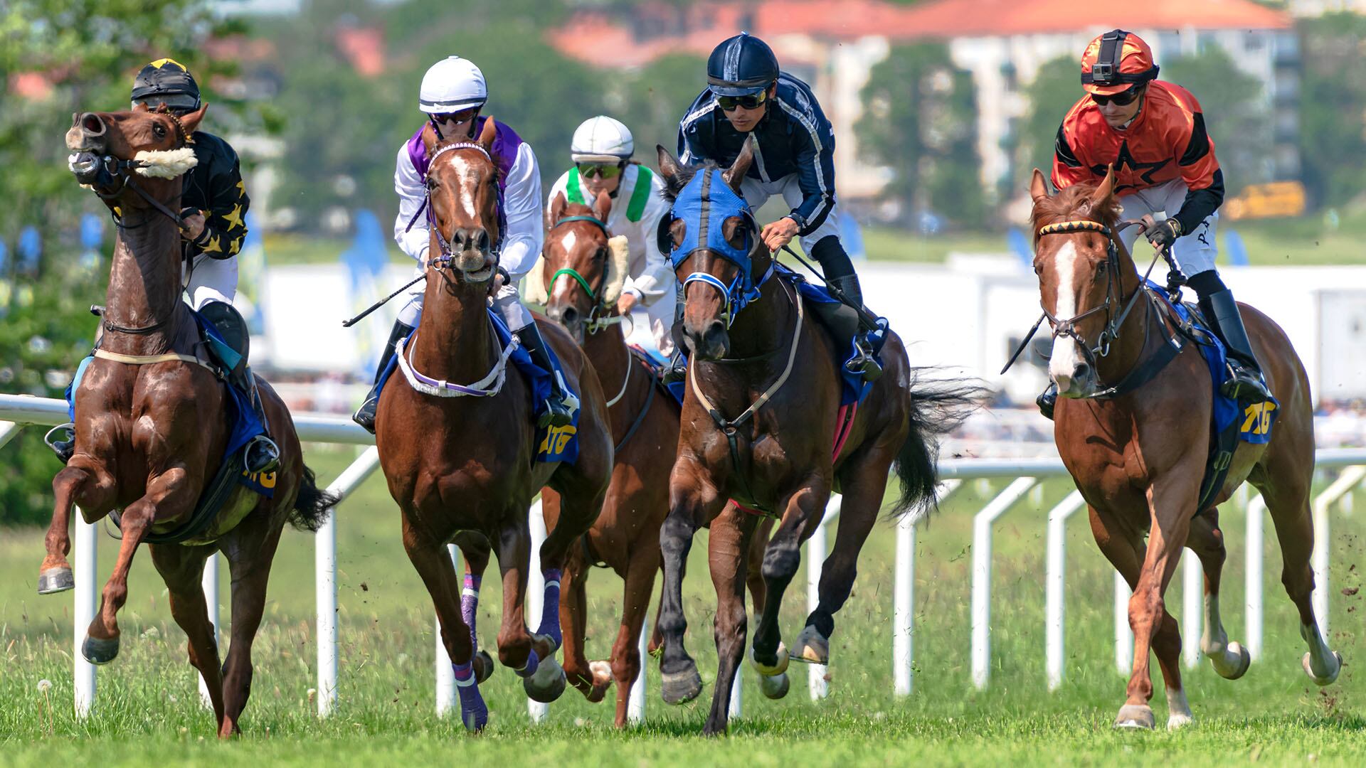 Carrera de caballos e el hipódromo/imagen ilustrativa/Shutterstock