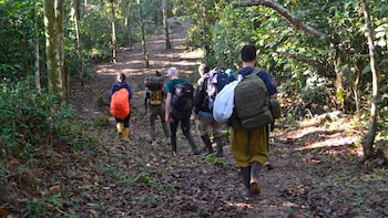 El clima en la ciudad de las palmeras (wikimedia)