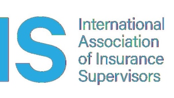 La Asociación Internacional de Supervisores de Seguros nombra a Gerry Cross como nuevo secretario general