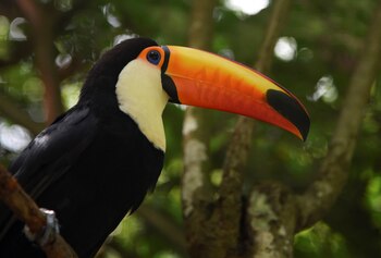 La investigación del MIT revela