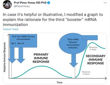Cuadro que explica la inmunidad