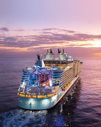 Ovie, el gato que viajó en un crucero internacional y se salvó de la eutanasia (Facebook Royal Caribbean International)