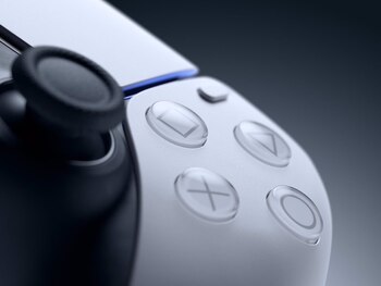 Es importante no darles golpes