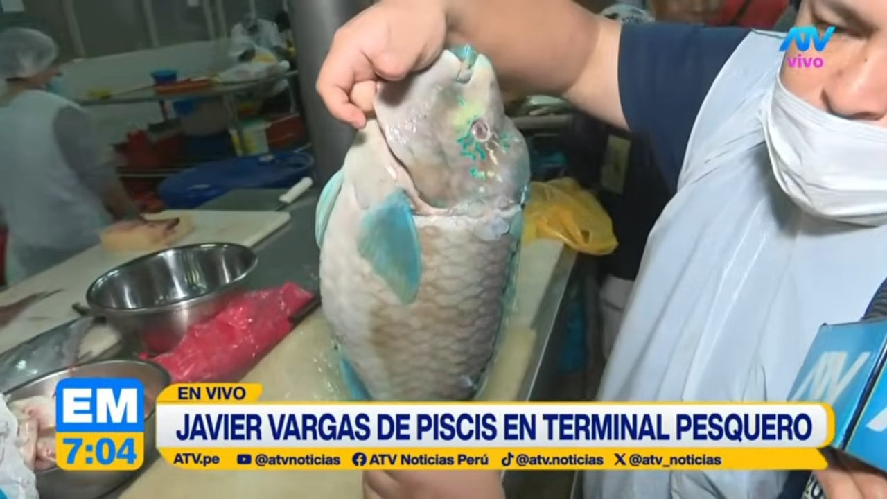 Javier Vargas sostiene un pez con aletas turquesas durante un despacho informativo desde un terminal pesquero.