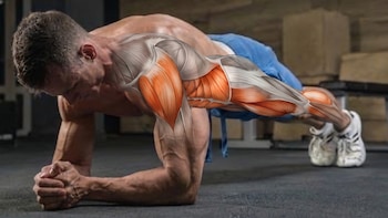 Por qué el cuerpo deja de responder al ejercicio y cómo evitar que el entrenamiento se vuelva inútil para perder grasa