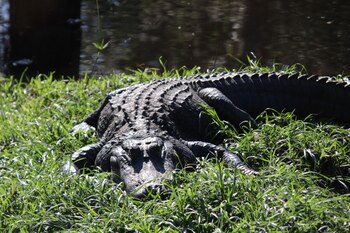 (The Washington Post/archivo)