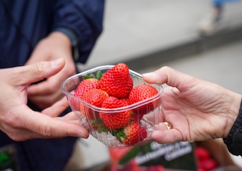 Imagen SW7OV5DXKZDHFJ5BYXWU67TCYE