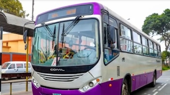 Los corredores Morado y Rojo operarán con desvíos temporales, mientras que el servicio Aerodirecto Sur también cambiará su recorrido - Créditos: Andina.