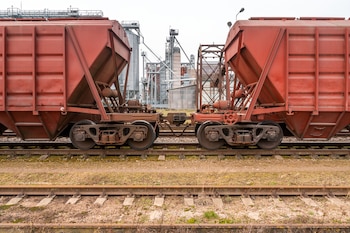 Se cargaron 35 contenedores sobre formaciones ferroviarias con destino a los puertos de Rosario y Buenos Aires, desde donde las mercaderías continuarían posteriormente sus circuitos de exportación (Foto: Shutterstock)