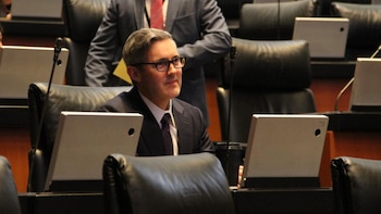 Senador de Morena llama “chayoteros” a periodistas; Artículo 19 advierte estigmatización y riesgo para la prensa