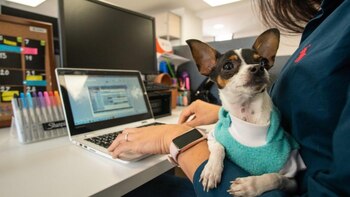 Imagen: Alcaldía de Bogotá