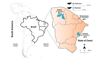 Ubicación de las especies de