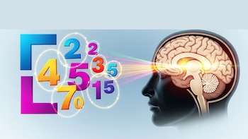 El fenómeno de asociación espacial-numérica