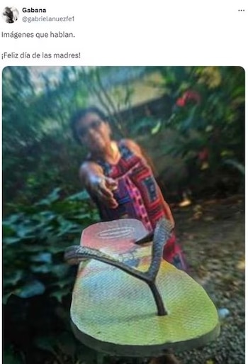 Usuarios celebran el Día dela