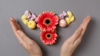 Descubren un componente natural que ralentiza el envejecimiento del útero para mejorar la fertilidad (Canva)