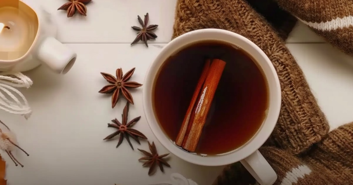 ¡Termo a la Mano! Las Infusiones Milagrosas para Combatir el Frío Invernal y Potenciar tu Salud (Guía Completa)