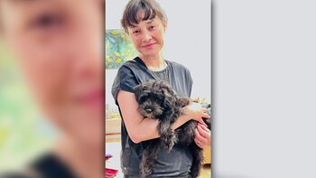 En esta fotografía sin fecha