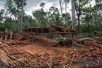 Un aserradero abandonado en un