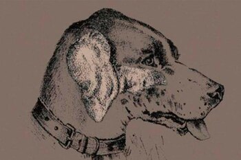 Solución al reto viral (Imagen: