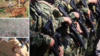 Comunidad en el Meta denuncia que tropas del Ejército retuvieron a una familia y mataron a un campesino que intentó auxiliarlos
