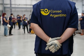 Pie de foto
La planta en