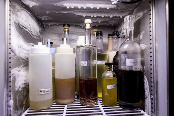 Los ingredientes para los cocteles,