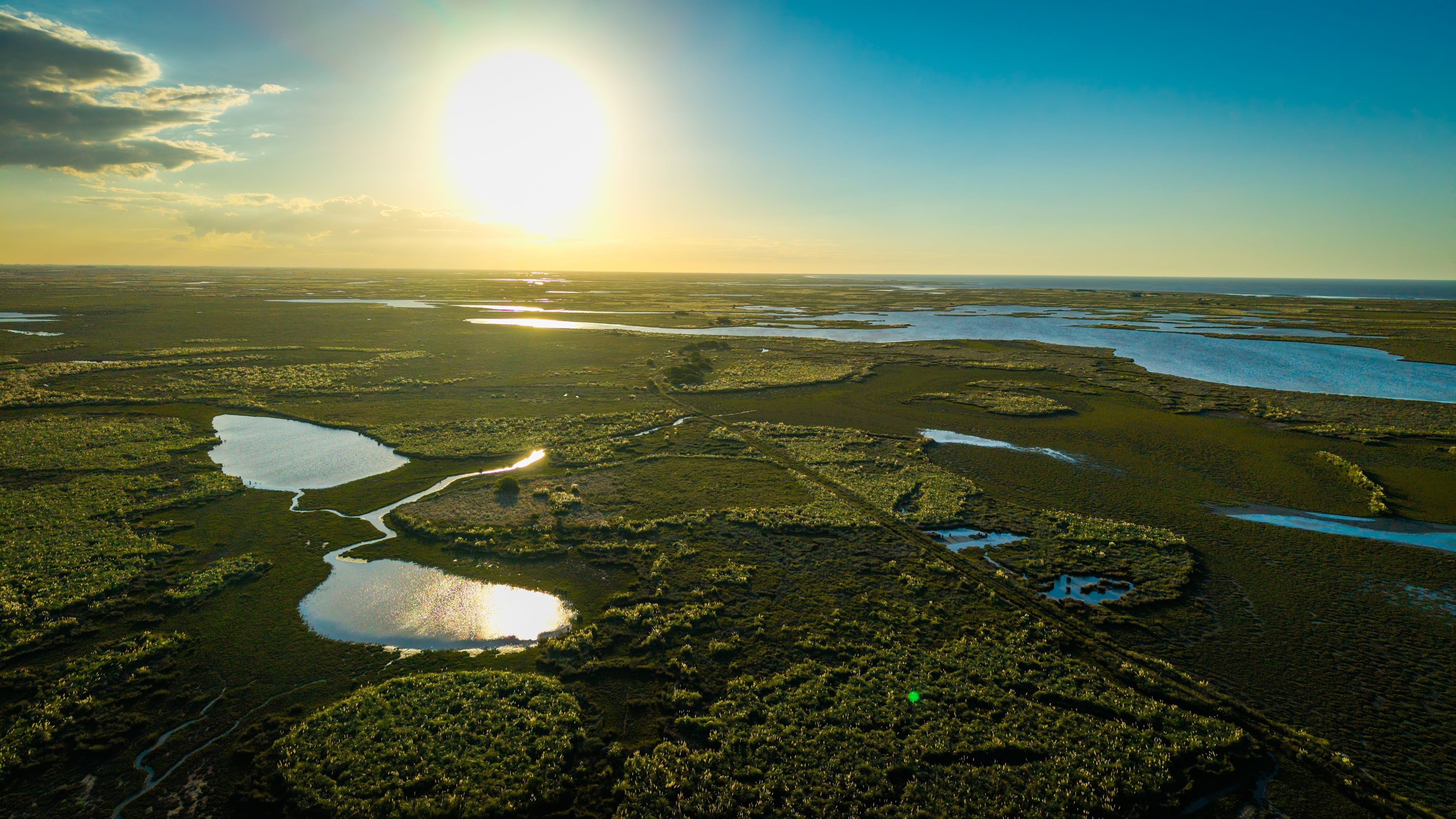 En las últimas décadas, Argentina perdió más de 3 millones de hectáreas de pastizales naturales, aseguran desde Fundación Vida Silvestre (FVS)