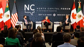 Alicia Bárcena, titular de la