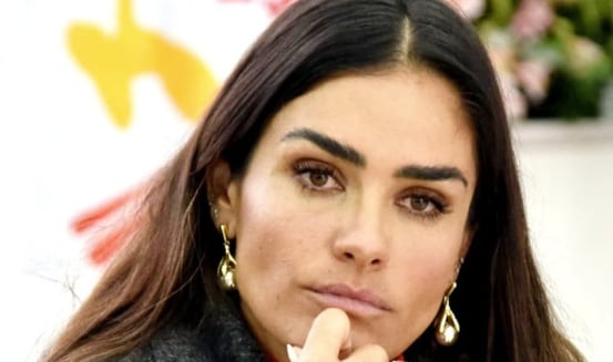 Alessandra Rojo de la Vega, plan de seguridad