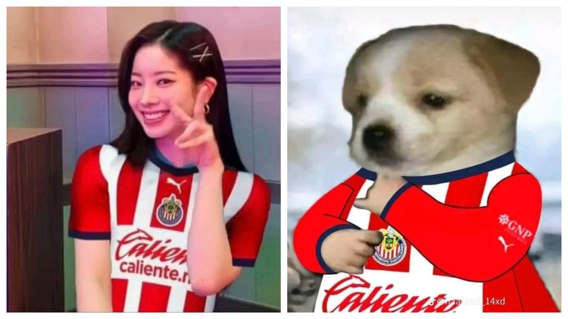 (X)
