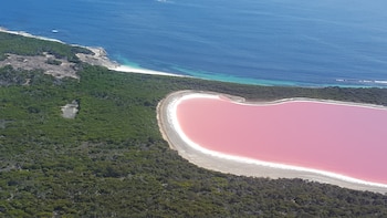 El color rosa del lago Hillier se atribuye al alga Dunaliella salina y a bacterias halófilas presentes en las costras de sal (Wikimedia Commons)