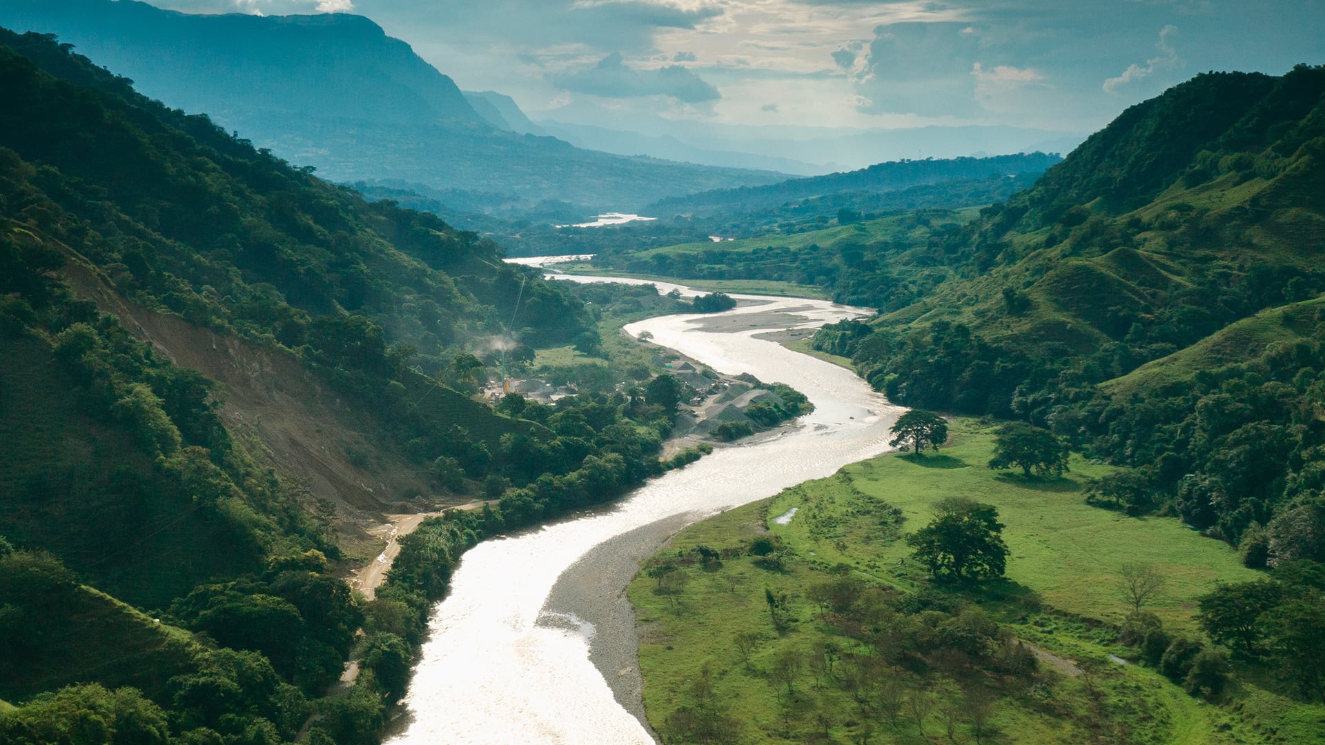 Sequía en Tolima baja ríos y amenaza la producción de hoja para tamal