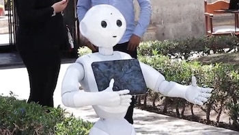 Especialistas de Francia, Brasil, Venezuela,