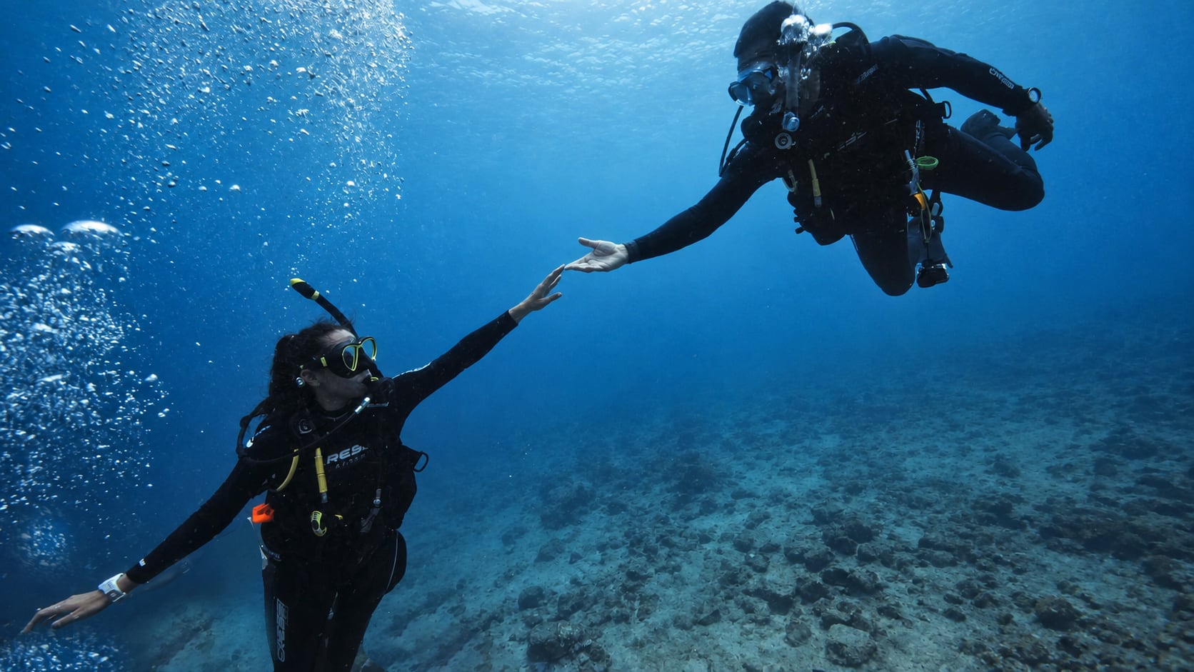 Las escenas submarinas de Pacífico registraron escuelas de tiburones, rayas y otras especies marinas, dentro de un material que superó las 200 horas de filmación - crédito cortesía Riccafilm