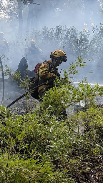 Incendio en Los Alerces, Chubut.