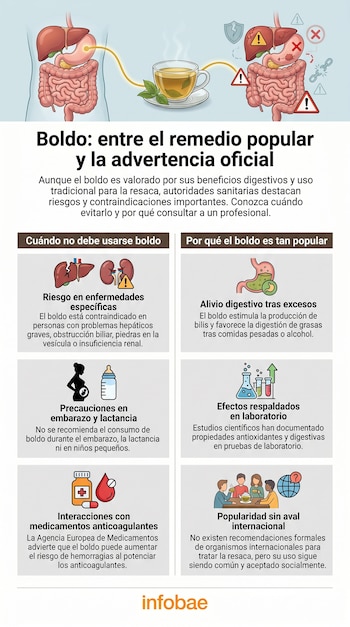Infografía que ilustra el boldo. Un lado muestra un sistema digestivo sano y té, el otro, órganos con advertencias de riesgos (hígado, riñones, embarazo, medicamentos).