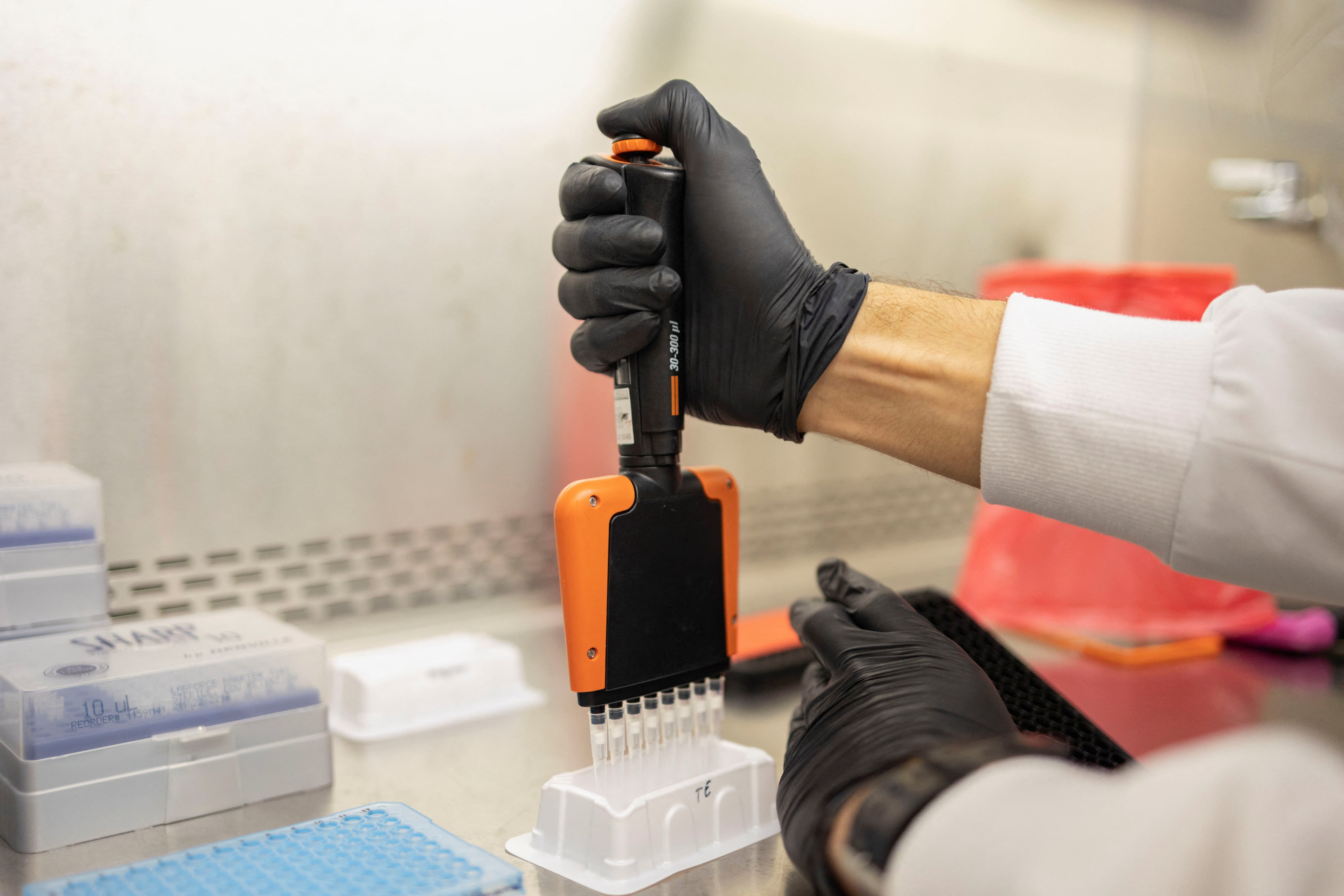 El logro fue hecho por científicos de ocho países que lograron visualizar cómo se distribuyen y enlazan los cromosomas en células humanas (REUTERS/Hannah Beier)