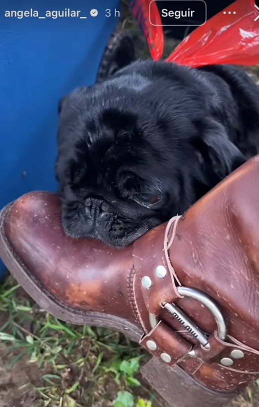 Ángela Aguilar compartió un video en Instagram donde luce botas de Miu Miu, una marca de lujo. (Captura de pantalla @angela_aguilar_)