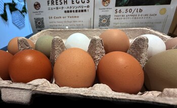 Corea del Sur debuta como