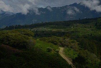 Desde la mañana de este
