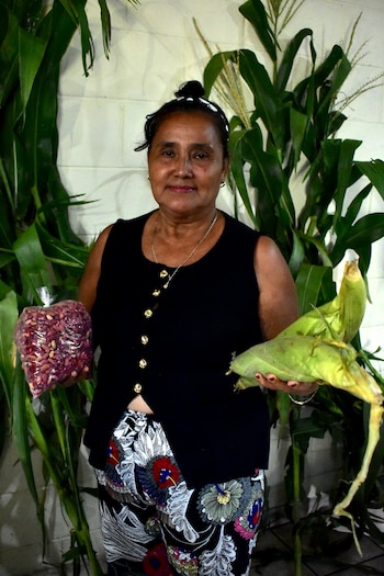 Mesa de Agricultores nacionales de El Salvador presentan resultados de primera cosecha de 2026