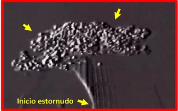 Aerobiología, por el doctor Lombardero