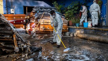 Un grupo de personas esteriliza