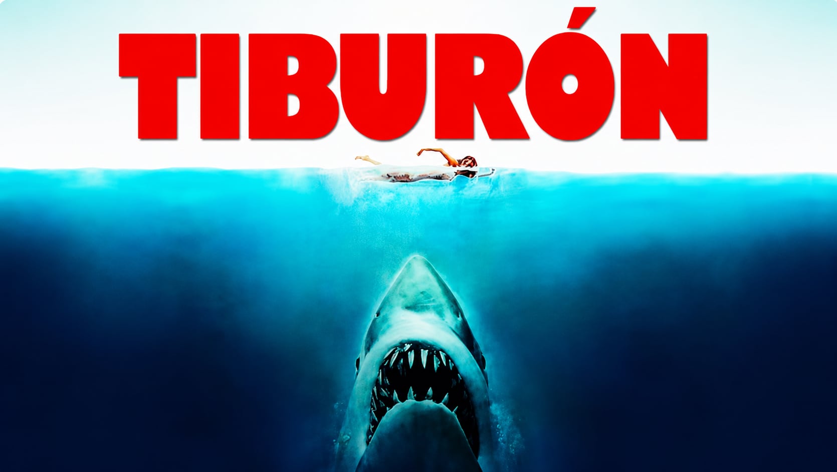 El marrajo carite tiene un hocico más alargado y una silueta más estilizada que el gran tiburón blanco Carcharodon carcharias (YouTube/@lukaccion8081)