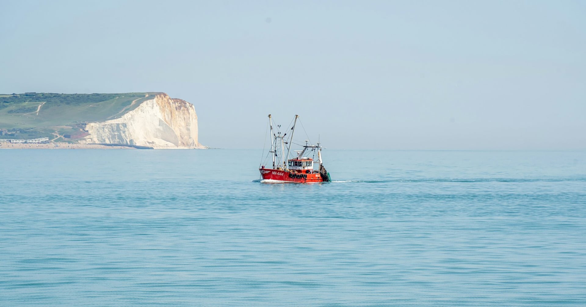 Un equipo de científicos y pescadores deportivos marcó por primera vez un tiburón zorro en Inglaterra y en el Atlántico nororiental, en el Canal de la Mancha (Unsplash/CC0 Dominio público)