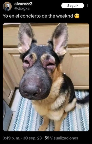 Memes The Weeknd
(captura